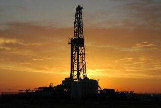 Oil